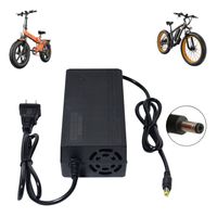 Cargador Para Bicicleta Eléctrica con Batería de Litio de 48V Salida 54.6V 2A