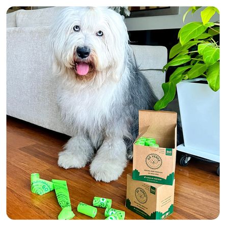 image-71a72205d6e8481e908187084da7e20b image-71a72205d6e8481e908187084da7e20b