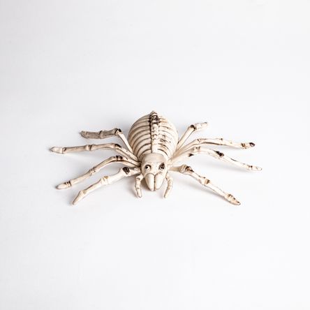 Esqueleto de Araña 23x15.5x7 cm Plástico Frank & Mortis Halloween