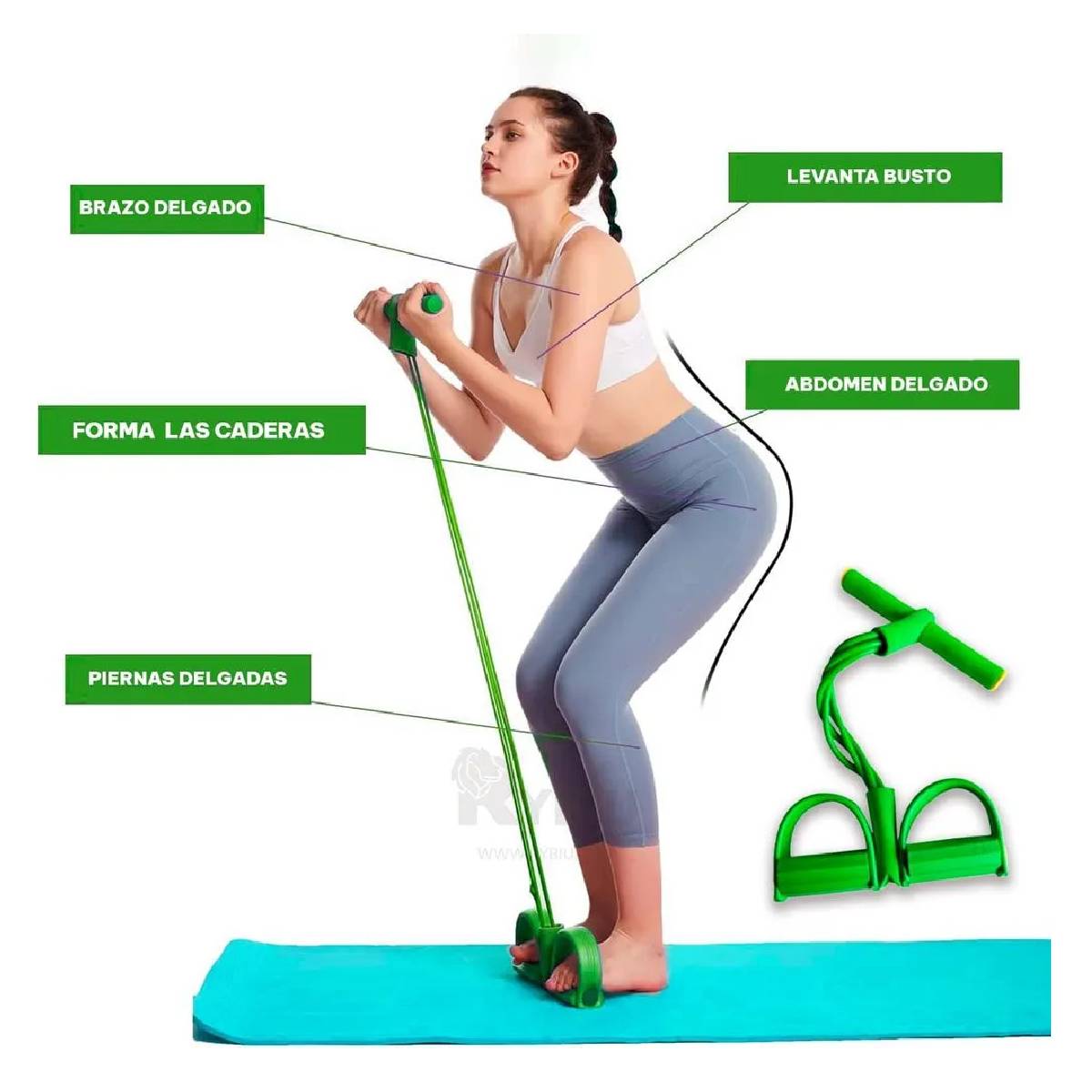 Liga Elastica para Ejercicio Abdominal Color Verde