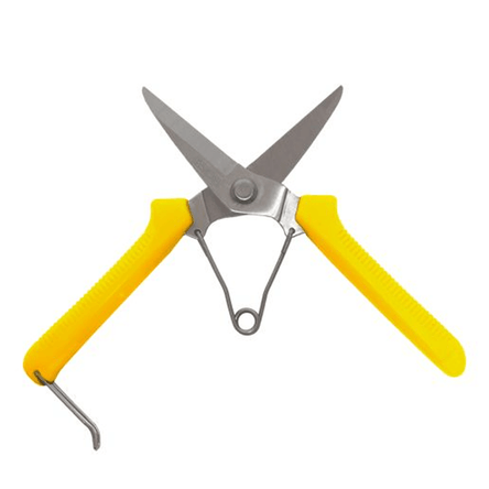 image-a2148704e69843feb61d3f7fc2671154 image-a2148704e69843feb61d3f7fc2671154