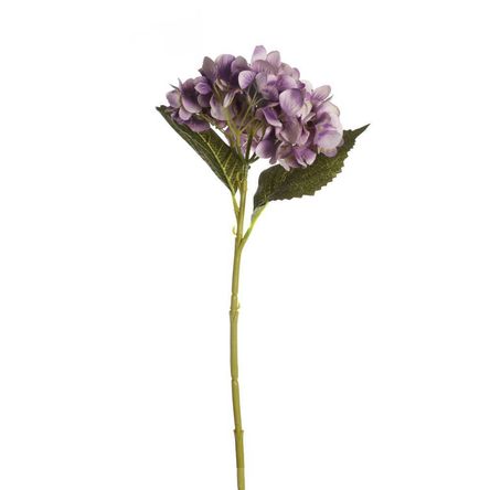 image-f51b3d80435748b7a1bd5410f09debdf image-f51b3d80435748b7a1bd5410f09debdf