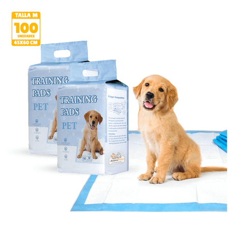 image-1bf8f6e0cc0945428a87bd98524a4f66 image-1bf8f6e0cc0945428a87bd98524a4f66