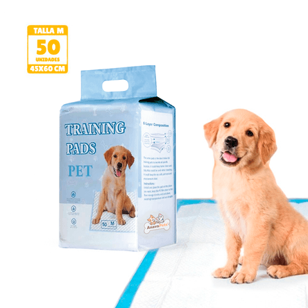 image-deb0eebe1af34f41802386f30af9e0d1 image-deb0eebe1af34f41802386f30af9e0d1