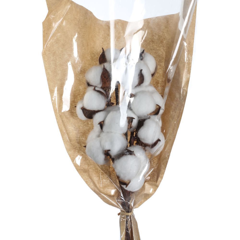 image-2cca7aa517ba4842842b11b8afe20da6 image-2cca7aa517ba4842842b11b8afe20da6