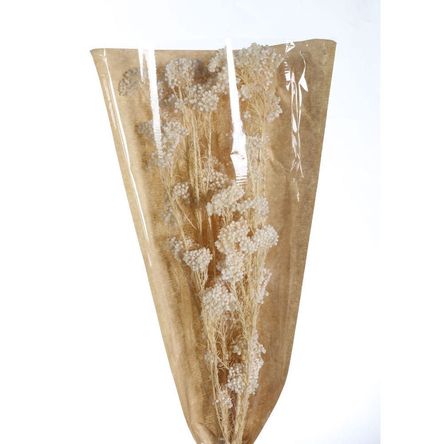 image-4a2c3047ccef417b8ac170bcf1410a18 image-4a2c3047ccef417b8ac170bcf1410a18