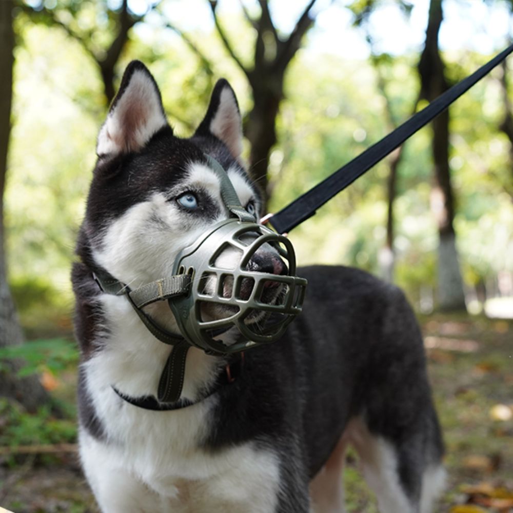 Bozal de Silicona  Flexible Regulable (No Daña Carita de Perro) Talla 4