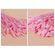 imageUrl_6