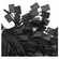 imageUrl_5