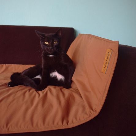 image-3d50dc732b3542fbae5534e650cb05a0 image-3d50dc732b3542fbae5534e650cb05a0