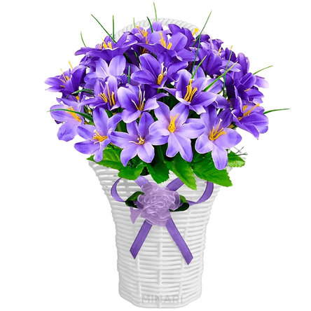 imageUrl_1 imageUrl_1