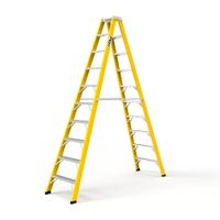 Escalera tijera doble Asc 10 pasos Now Laders