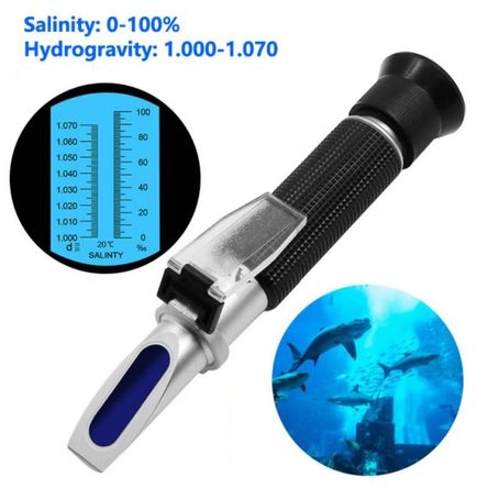 image-8b8145beb6ba415c8e6a476a24458904 image-8b8145beb6ba415c8e6a476a24458904