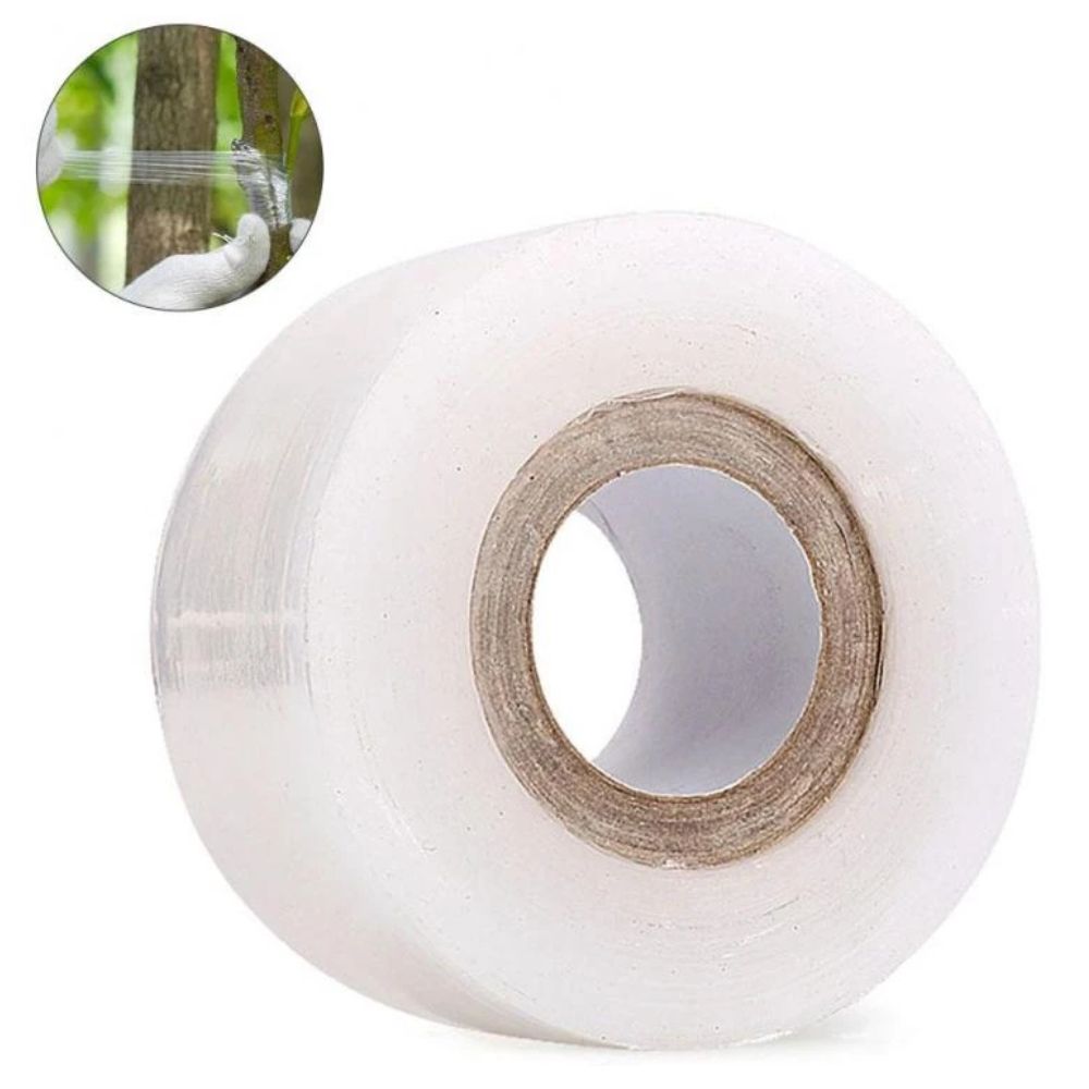 image-d086a62830f743e482774e8d614ca967 image-d086a62830f743e482774e8d614ca967