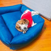 Cama Impermeable para Verano/Invierno 100% Hipoalergénico Azul Talla L