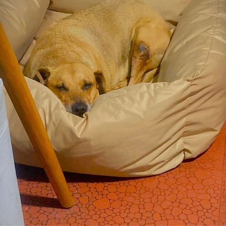 imageUrl_1 imageUrl_1