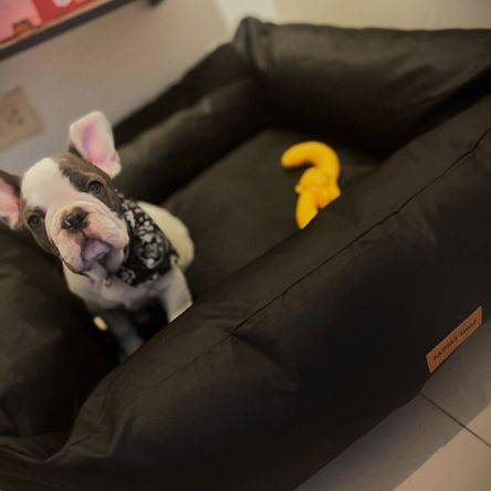 imageUrl_1 imageUrl_1