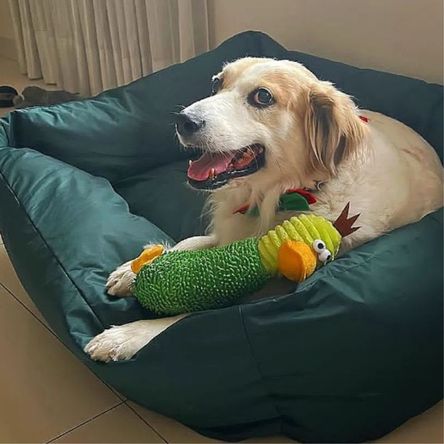 imageUrl_1 imageUrl_1