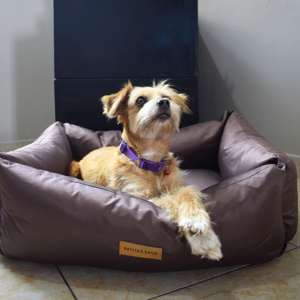 imageUrl_1 imageUrl_1