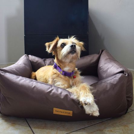 imageUrl_1 imageUrl_1