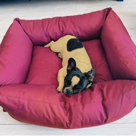 imageUrl_1 imageUrl_1