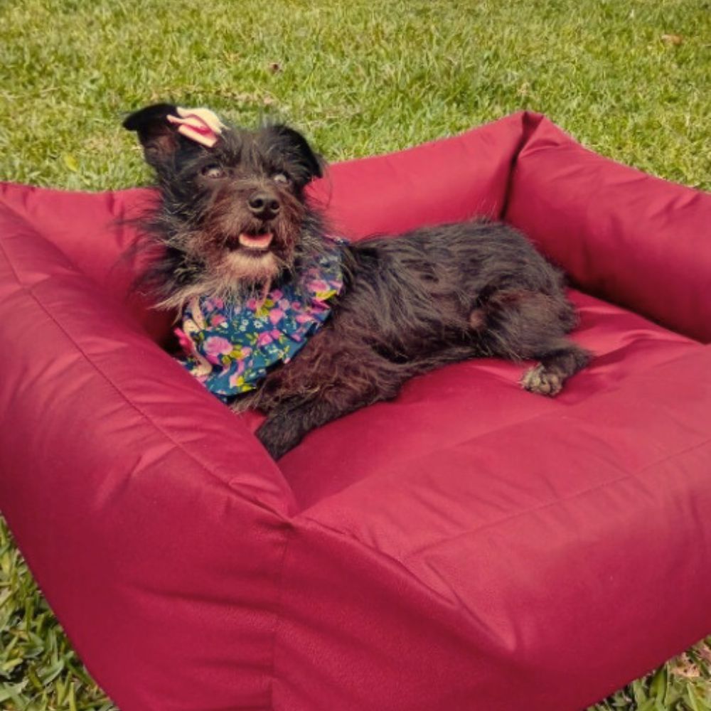 imageUrl_1 imageUrl_1