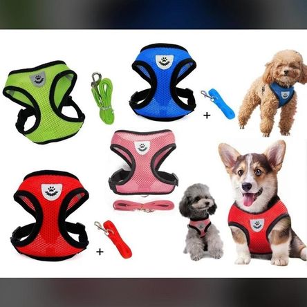 image-c7592cc8416840df80bc112859cf7ba3 image-c7592cc8416840df80bc112859cf7ba3