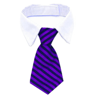 Corbata con cuello para Mascota Morada