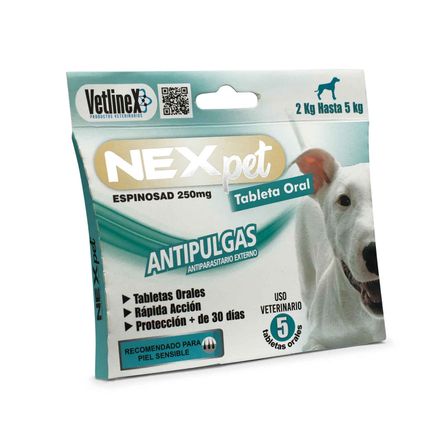 image-47a6070c81444901addac2027d7d5f3a image-47a6070c81444901addac2027d7d5f3a