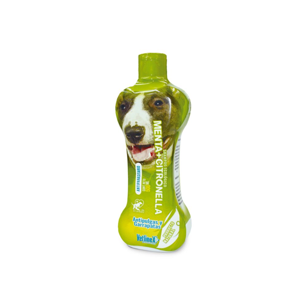 image-fe881265750a470bac273bad1bad9e12 image-fe881265750a470bac273bad1bad9e12