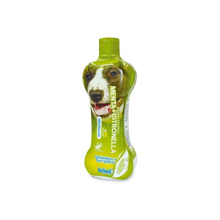 image-fe881265750a470bac273bad1bad9e12 image-fe881265750a470bac273bad1bad9e12