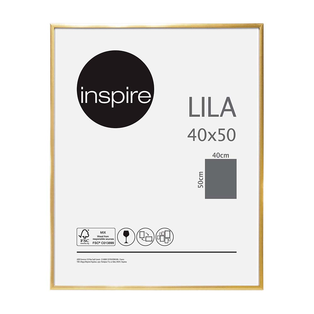 Marco de Foto Inspire Dorado Lila PVC/Madera 40x50cm