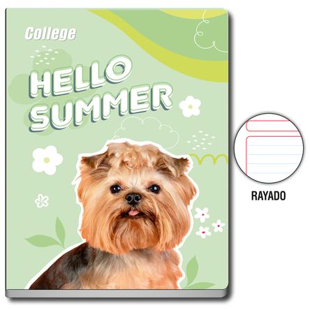 image-579dd48a1ba64aae9c977668691aa47b image-579dd48a1ba64aae9c977668691aa47b