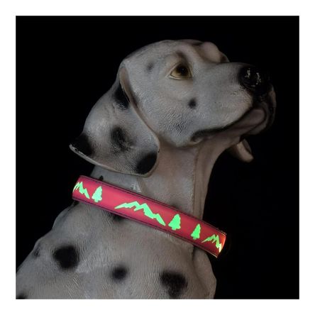 imageUrl_1 imageUrl_1