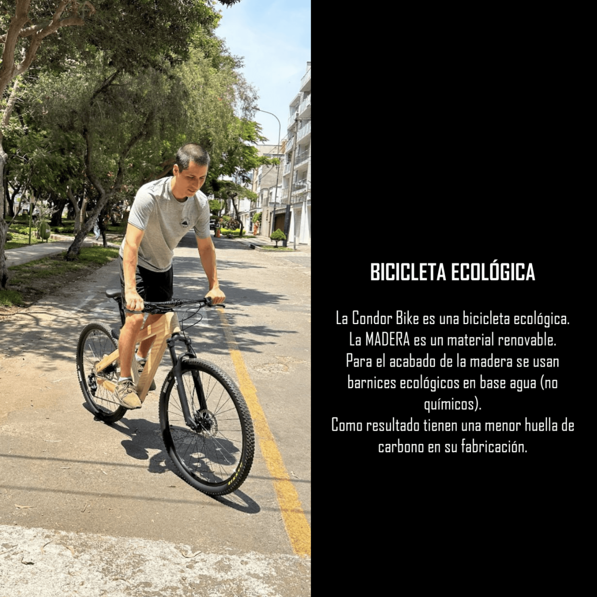 Wisnu Condor Bike - Cuadro de bicicleta de madera