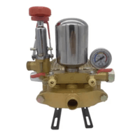 Cabezal Para Hidrolavadora Modelo: Wi30a1-n/g Dorado