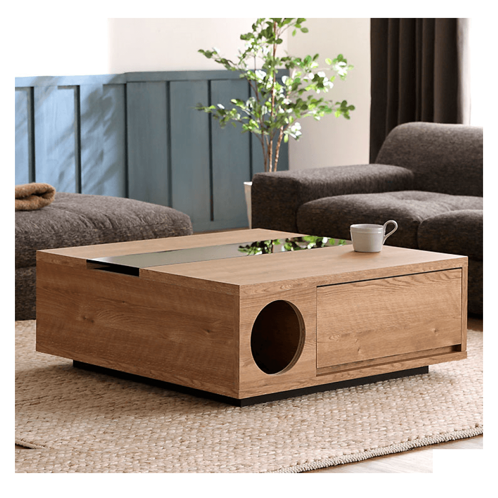 Mesa de Centro Decorativa con Casa para Gatos y Organizador