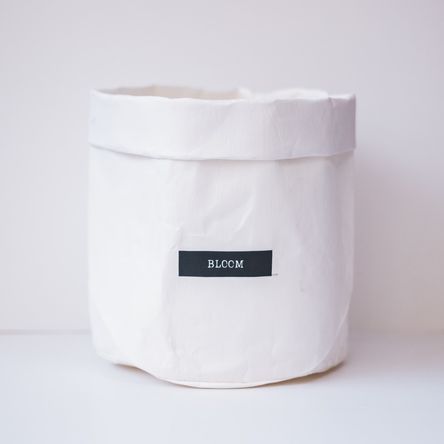 image-d225ce6a69ad41879c51696037acfeb2 image-d225ce6a69ad41879c51696037acfeb2