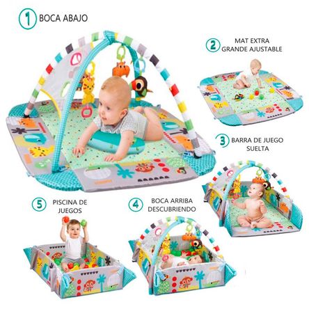 imageUrl_1 imageUrl_1