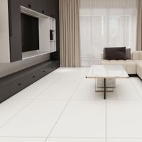 Piso Gress Cementicio Blanco Mate 120x60cm 2.16m2 Orange