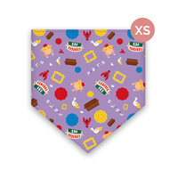 Bandana para mascotas Bandydog! Friends XS