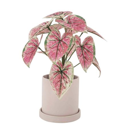 image-d3e4fc9d0a994300a36cba429b97bd57 image-d3e4fc9d0a994300a36cba429b97bd57