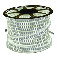 Cinta Led Plana Blanca Fria Rollo de 100 metros 12v