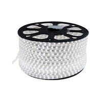 Cinta Led Plana Blanca Fria Rollo de 50 metros 12v