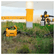 image-6063d2f41801476fbaf447a509f6a34b