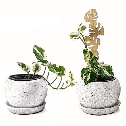 image-0bcdb47c0c4b43339ab1ae8d305ac776 image-0bcdb47c0c4b43339ab1ae8d305ac776