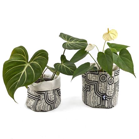 image-669c0bae38be4dccbf3efdf847fac7fd image-669c0bae38be4dccbf3efdf847fac7fd