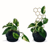 Soporte Panal Ancho para plantas Un Cuarto Verde parante tutor de 30cm