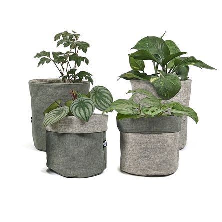 image-bb17dada44d445369eee59a5701d35f0 image-bb17dada44d445369eee59a5701d35f0