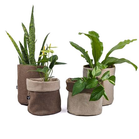 image-ec9962d303254fb191dd46e6280e3676 image-ec9962d303254fb191dd46e6280e3676